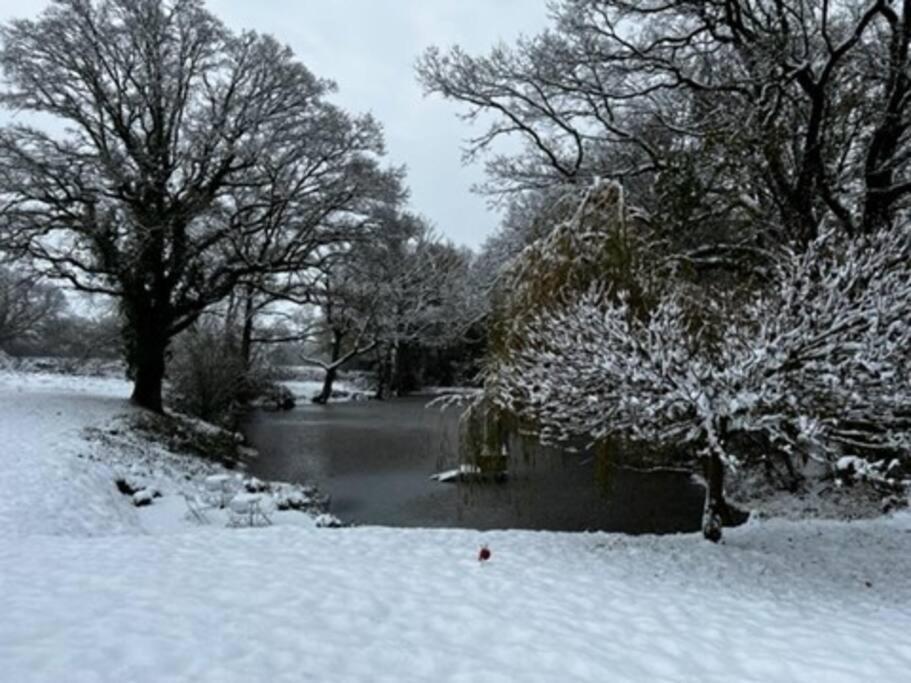 Charming Picturesque Cottage - Nr Tenterden & Rye, Pets Welcomed Rolvenden エクステリア 写真