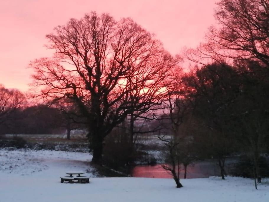Charming Picturesque Cottage - Nr Tenterden & Rye, Pets Welcomed Rolvenden エクステリア 写真