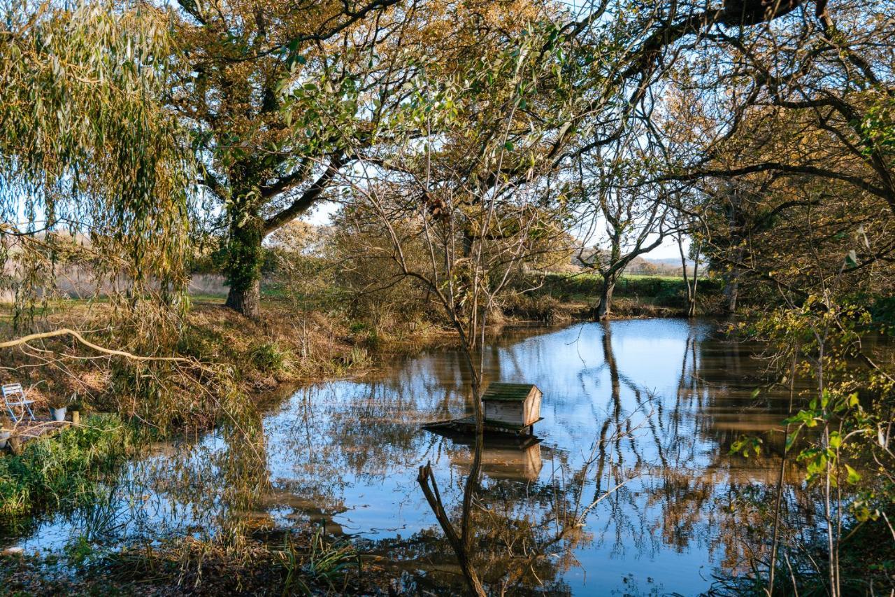 Charming Picturesque Cottage - Nr Tenterden & Rye, Pets Welcomed Rolvenden エクステリア 写真